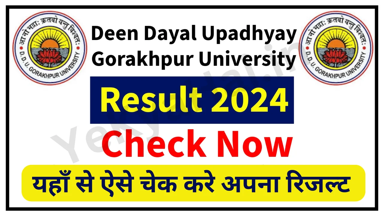 DDU Result 2024