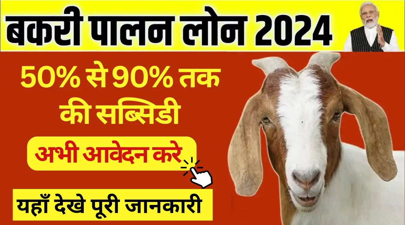 haryana bakri palan yojana