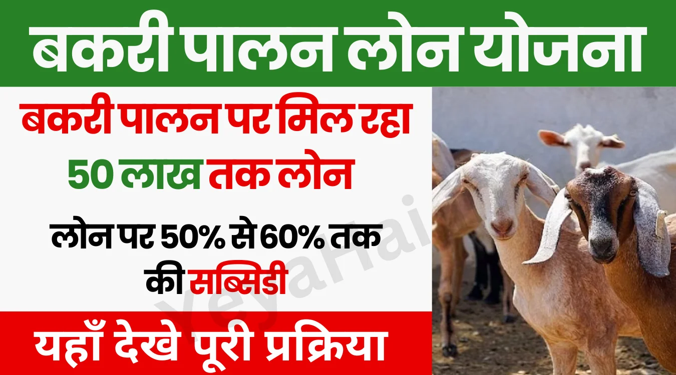 Bakri Palan Loan Yojana