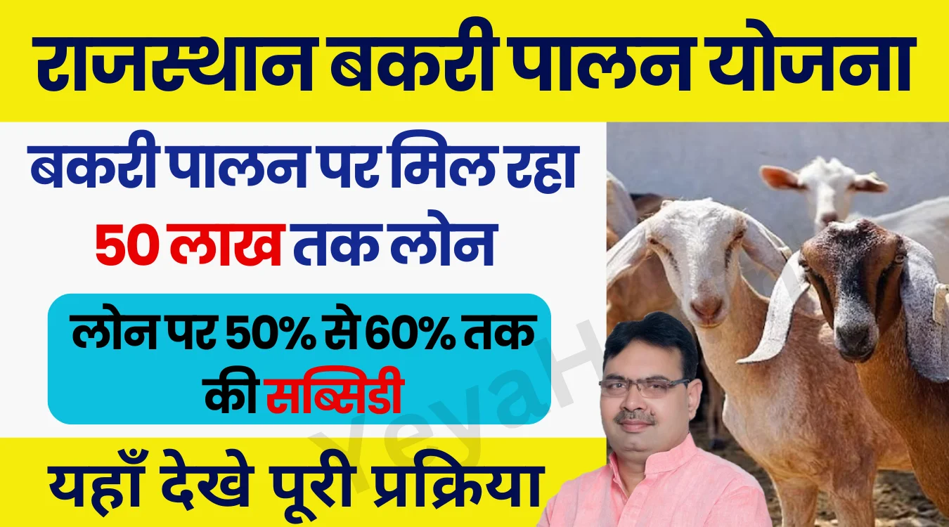 Rajasthan Bakri Palan Loan Yojana