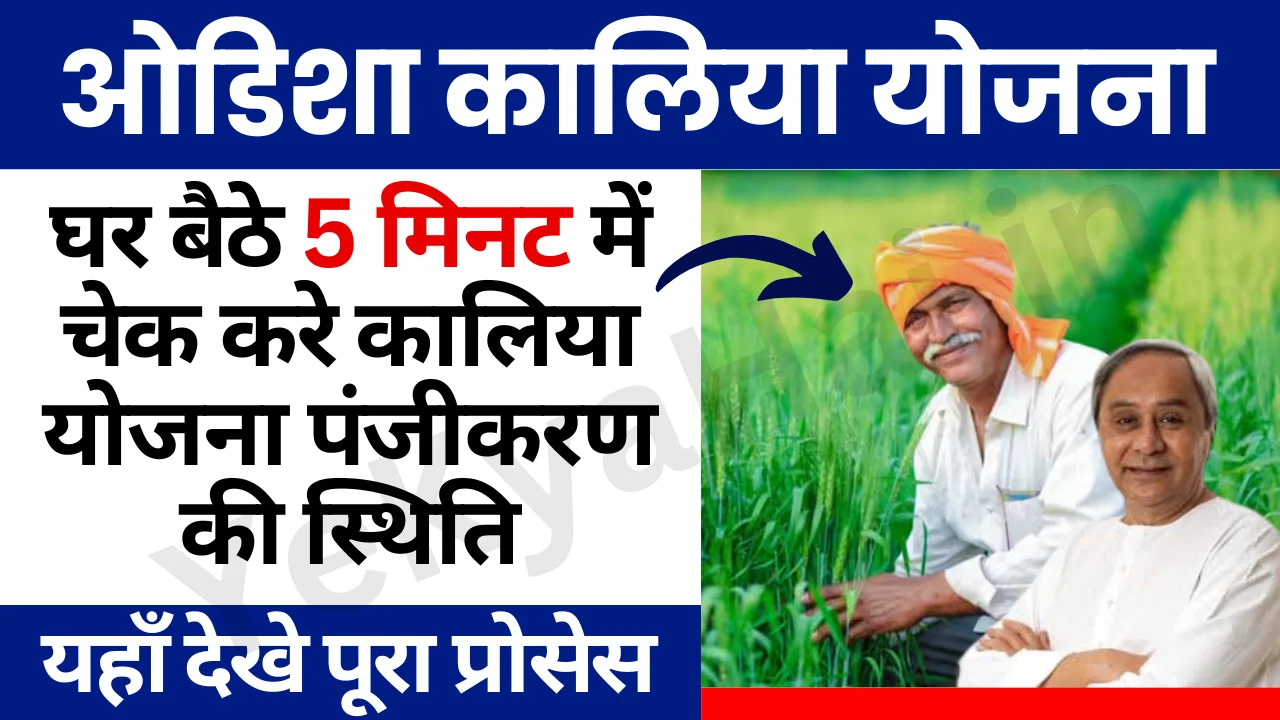 Kalia Yojana Status Check Online